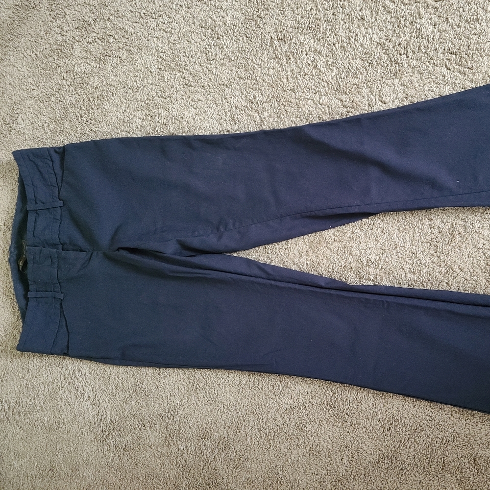 The Limited Navy Dress Pant